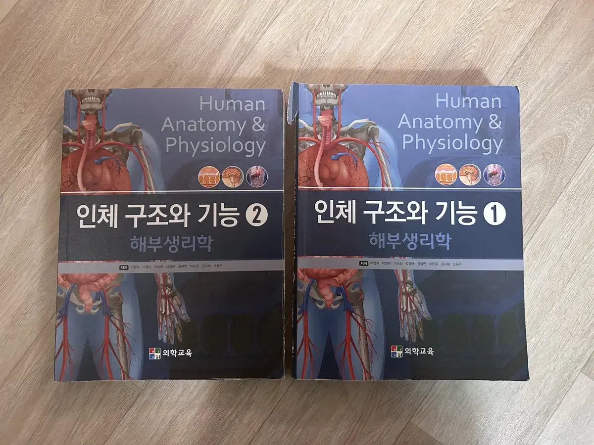 인체구조와기능 의학교육